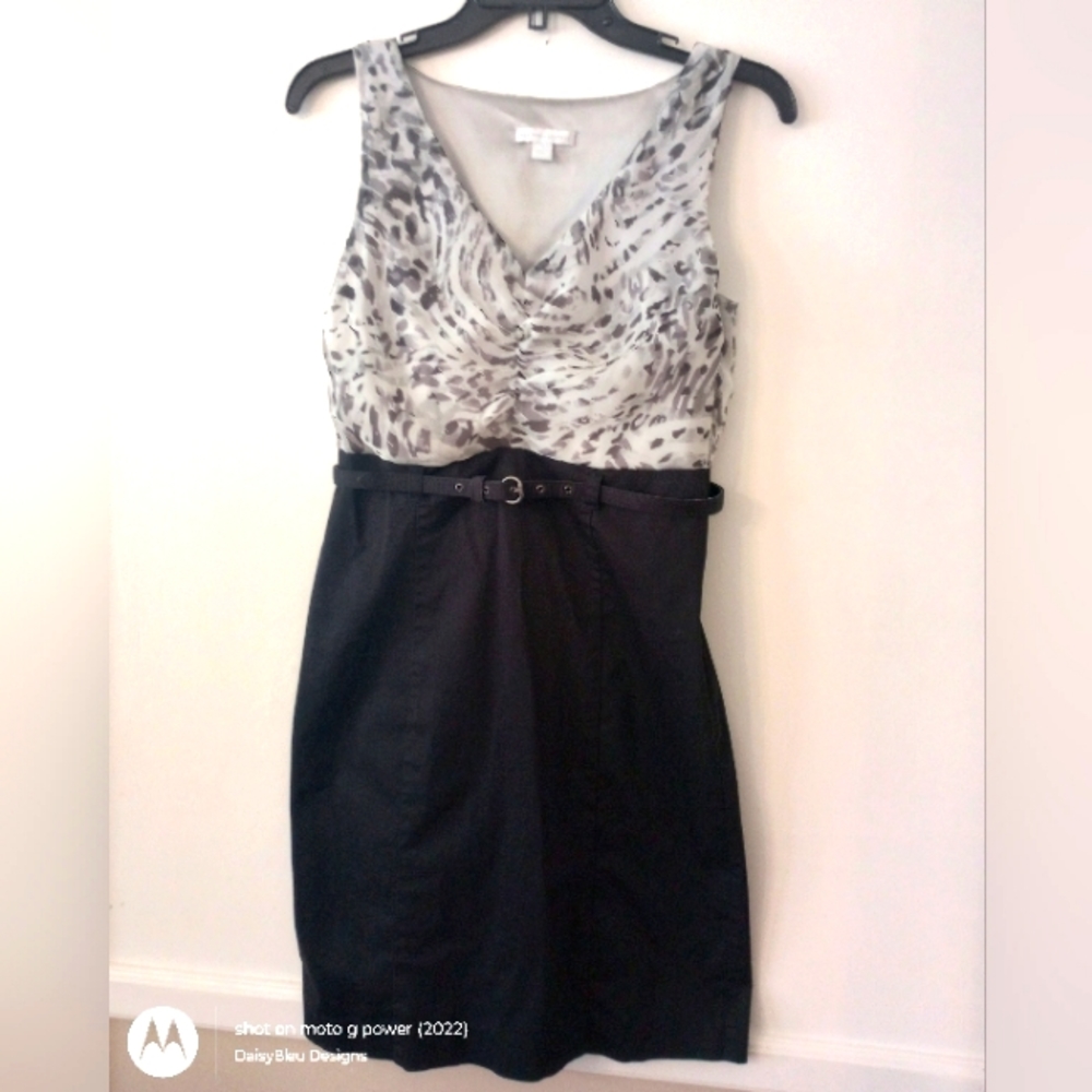 New York and Company Midi Dress with Belt Animal print Size 4 Ladies Woman's